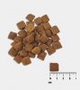 RAW PALEO HEALTHY GRAIN ADULT LAMB 10kg z jagnięciną